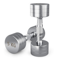 Гантель UNIX Fit PRO круглая хромированная 5 кг, 2 шт.